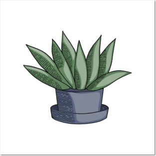 Green Aloe Succulent Cactus in Blue Pot Hand Drawn Line Art Posters and Art